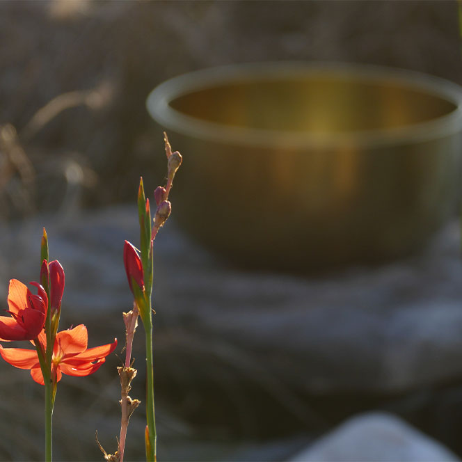 Intelligentes Training in Brione – Balance &amp; Gesundheit
